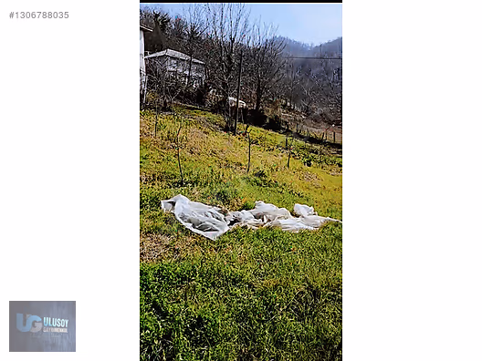 DAİRE FİYATINA BİNA VE ARSA - BARTIN MERKEZ fotoğraf 12