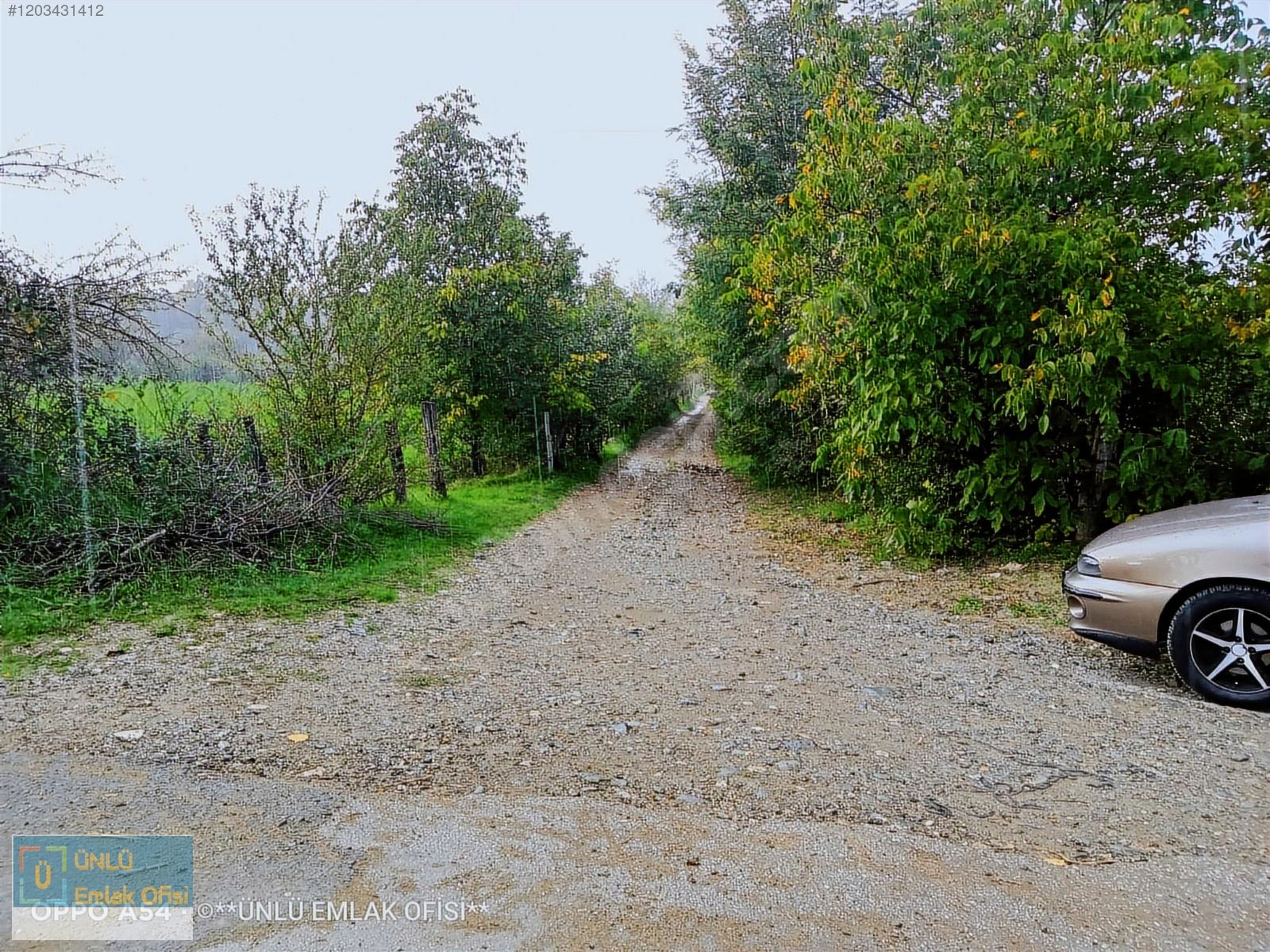 ÜNLÜ EMLAKTAN ESKİ TAŞKÖPRÜ YOLUNDA 6PARSEL YAPILABİLİR FIRSAT - KASTAMONU MERKEZ fotoğraf 24