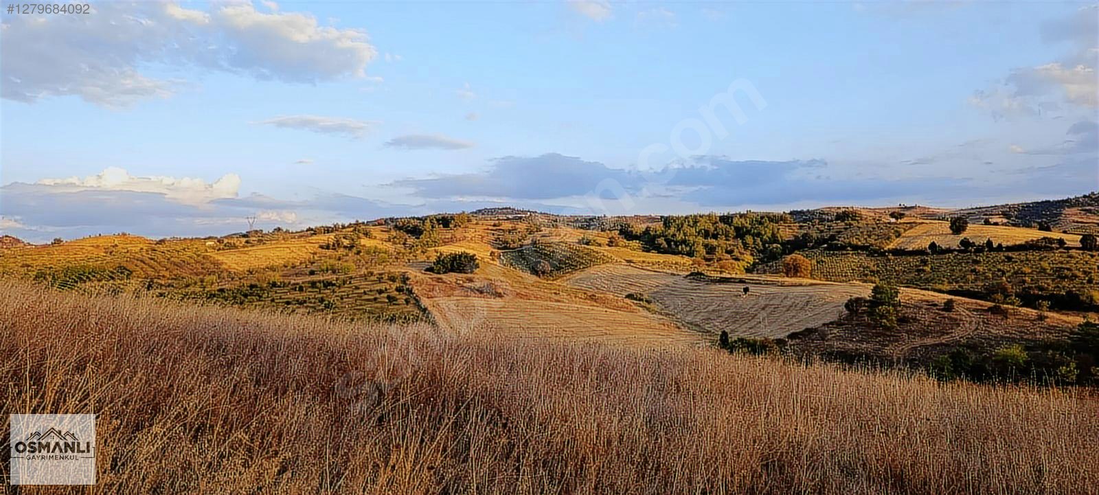 KÜRE KÖYÜNDE 11 DÖNÜM %5 İMARLI KUPON ÇİFTLİK ARAZİSİ - BİLECİK SÖĞÜT fotoğraf 9