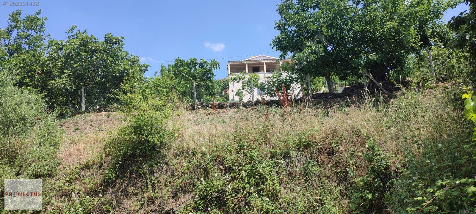 FULACIK MAHALLESİ'NDE KÖY İÇERİSİNDE 6229 M2 SATILIK ARSA - KOCAELİ KARAMÜRSEL fotoğraf 7