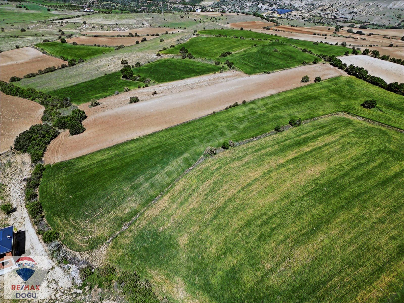REMAX DOĞUDAN MERKEZ SÜTLÜCE'DE 10.066 m² SATILIK TARLA - ELAZIĞ MERKEZ fotoğraf 4
