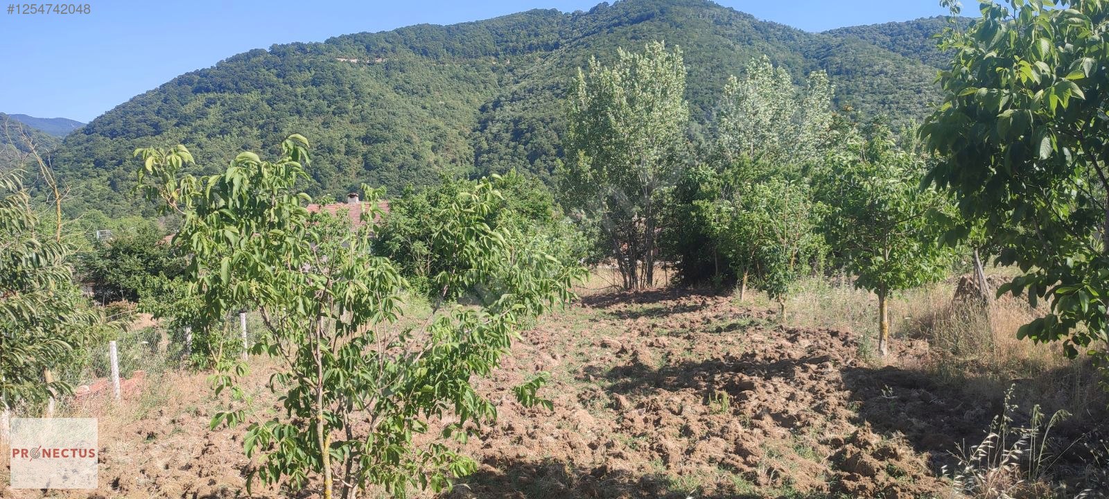 AVCIKÖY MAH. KÖY YERLEŞİM ALANI İÇERİSİNDE 724 M2 SATILIK ARSA - KOCAELİ KARAMÜRSEL fotoğraf 6