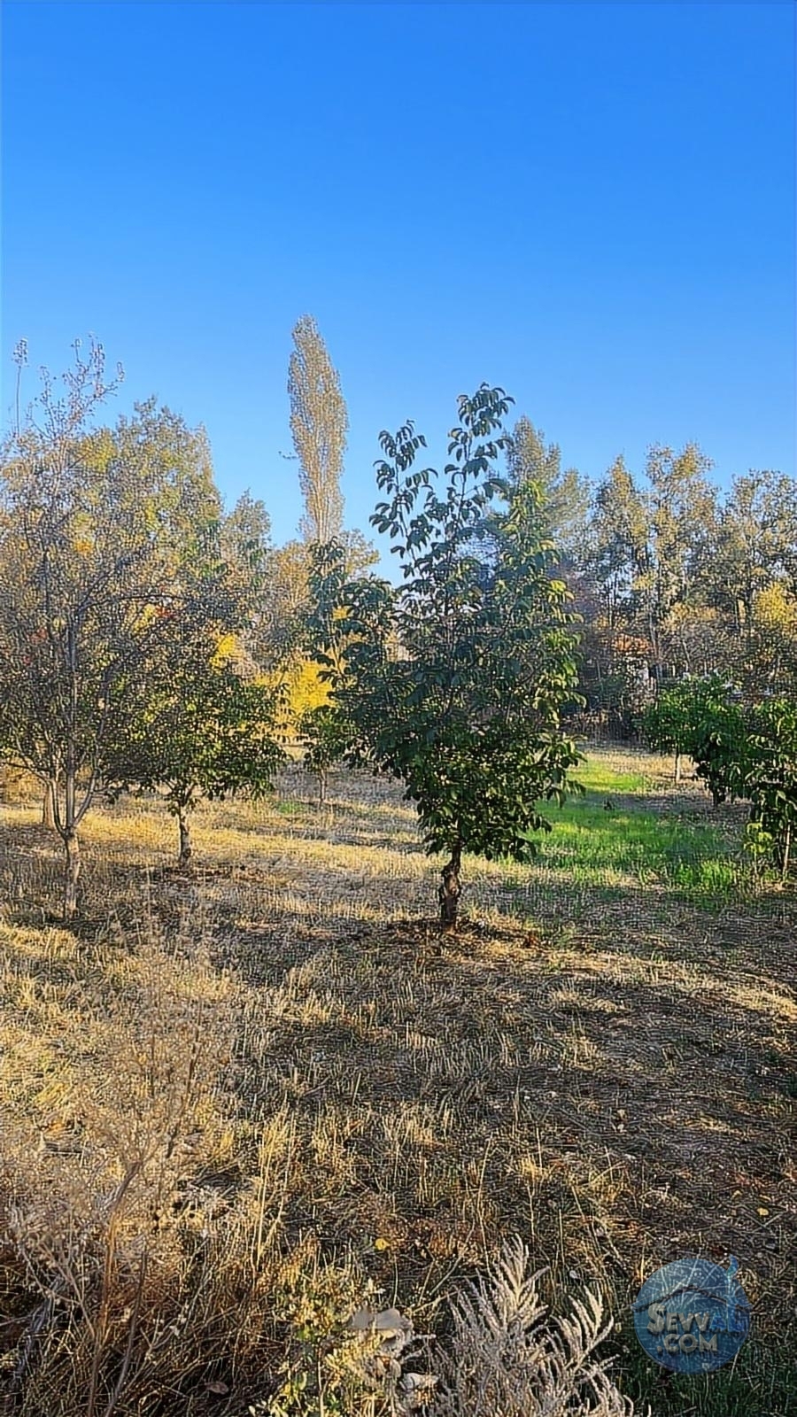ASYA EVİM GAYRİMENKULDEN SAKARCA MAH.SATILIK ARAZİ - Burdur Ağlasun fotoğraf 23
