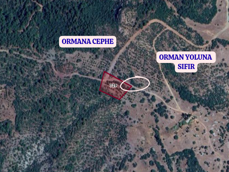MANİSA AKHİSAR DOĞANKAYA   KÖYÜNDE  3.700 M²  TARLA  SATILIKTIR - MANİSA AKHİSAR fotoğraf 3