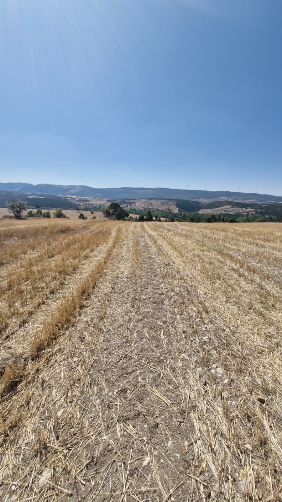    KÜTAHYA GEDİZ YEĞİNLER  KÖYÜNDE 5.332  M² TARLA  SATILIKTIR - KÜTAHYA GEDİZ fotoğraf 9