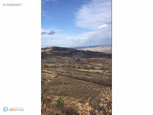 İnegöl Haytiyede Satılık 25 dönüm Yatırımlık Kıymetli Arazi. - BURSA İNEGÖL fotoğraf 6