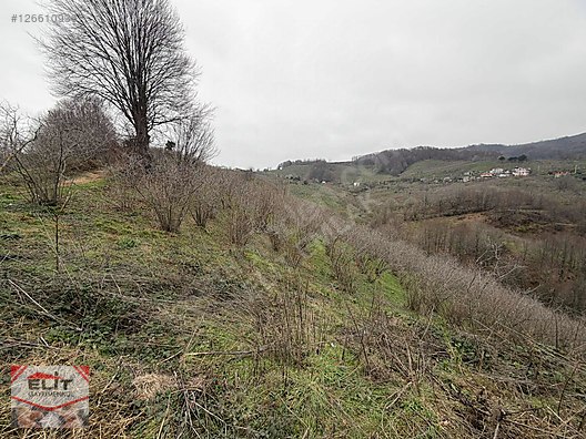 DÜZCE AKÇAKOCA DA EV YAPIMINA UYGUN SATILIK 7.768 M2 FINDIKLIK - DÜZCE AKÇAKOCA fotoğraf 21