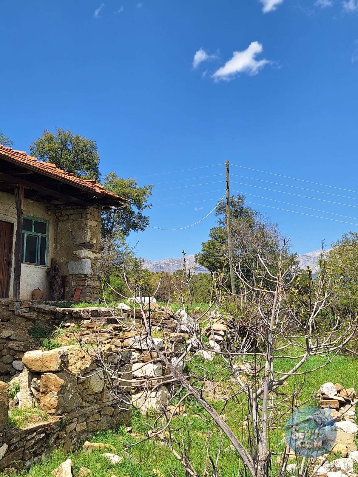 BURDUR AĞLASUN KİBRİT KÖYÜNDE SATILIK KERPİÇ EV VE TARLA - Burdur Ağlasun fotoğraf 15
