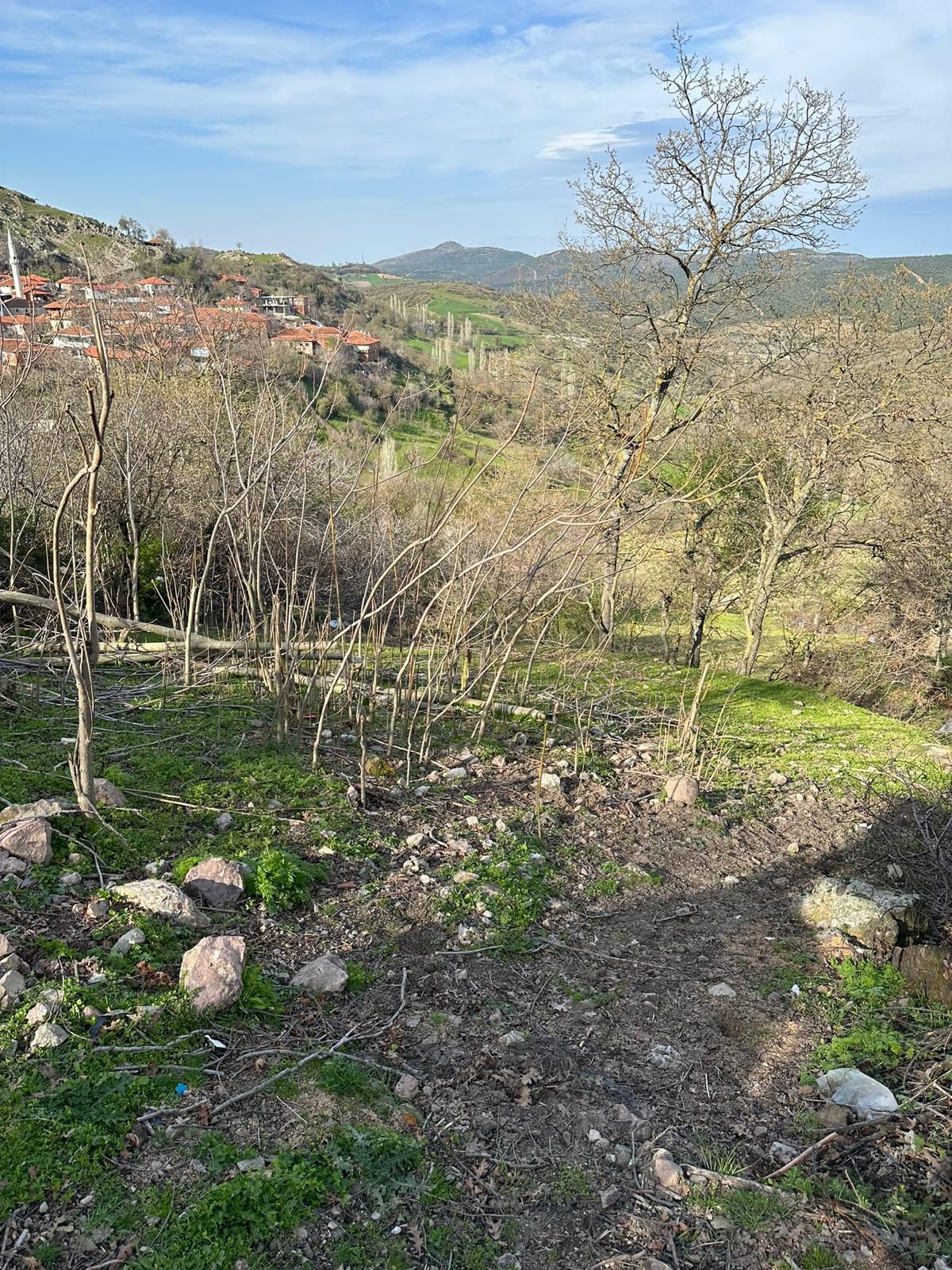 BALIKESİR ALTIEYLÜL DEDEBURNU   KÖYÜNDE 1.969  M²  TARLA  SATILIKTIR - BALIKESİR ALTIEYLÜL fotoğraf 3