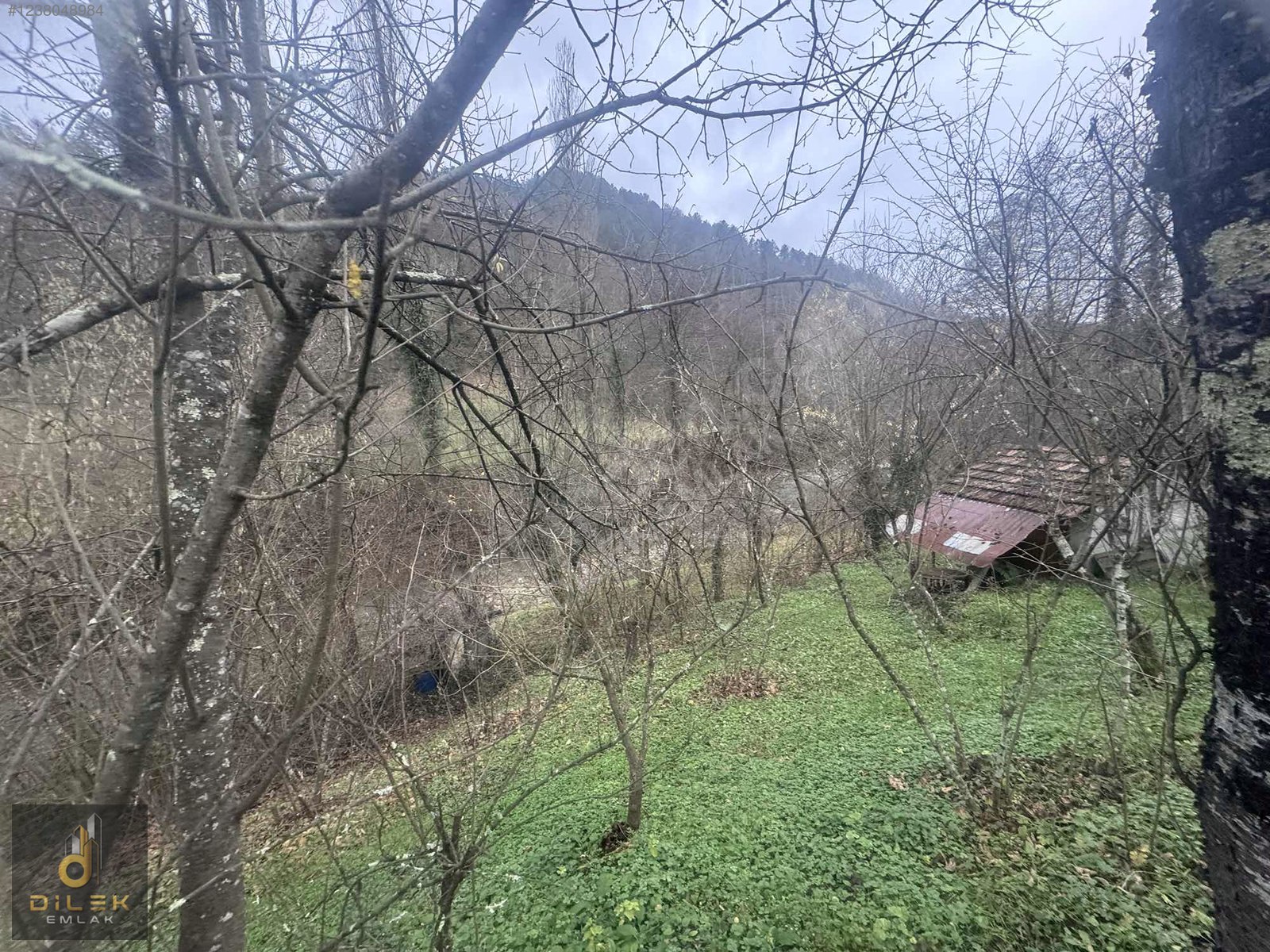 ZONGULDAK EREĞLİ KIZILCAPINARDA 5.000 M2 SATILIK DİLEK EMLAKTAN - ZONGULDAK EREĞLİ fotoğraf 8