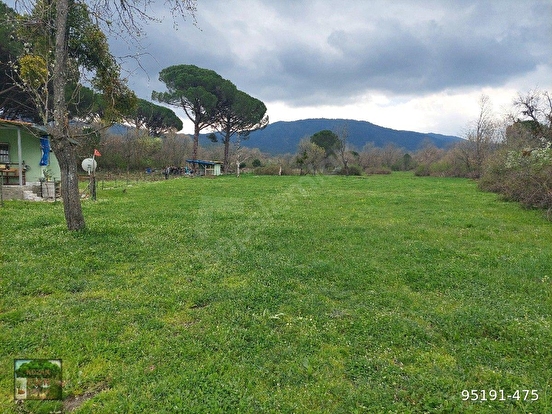İZMİR BERGAMA KOZAK YAYLASI YUKARIBEY MAH DE 17600M2 TARLA % 5 TARIM İMARLI - İZMİR BERGAMA fotoğraf 6