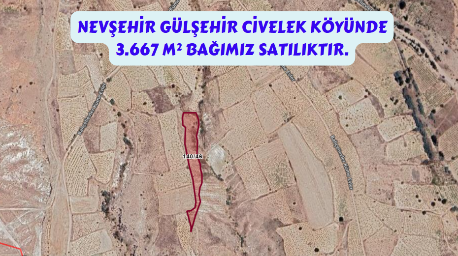 NEVŞEHİR GÜLŞEHİR CİVELEK KÖYÜ 3.667 M² BAĞIMIZ SATILIKTIR. - NEVŞEHİR GÜLŞEHİR fotoğraf 2