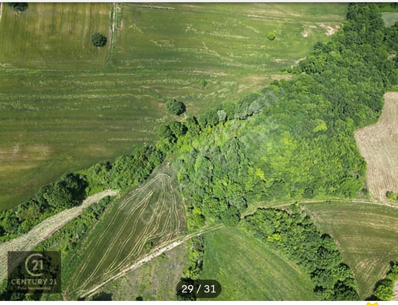 Sahibinden Satılık 7.488m2 %5 İmarlı Arazi - KOCAELİ DERİNCE fotoğraf 5