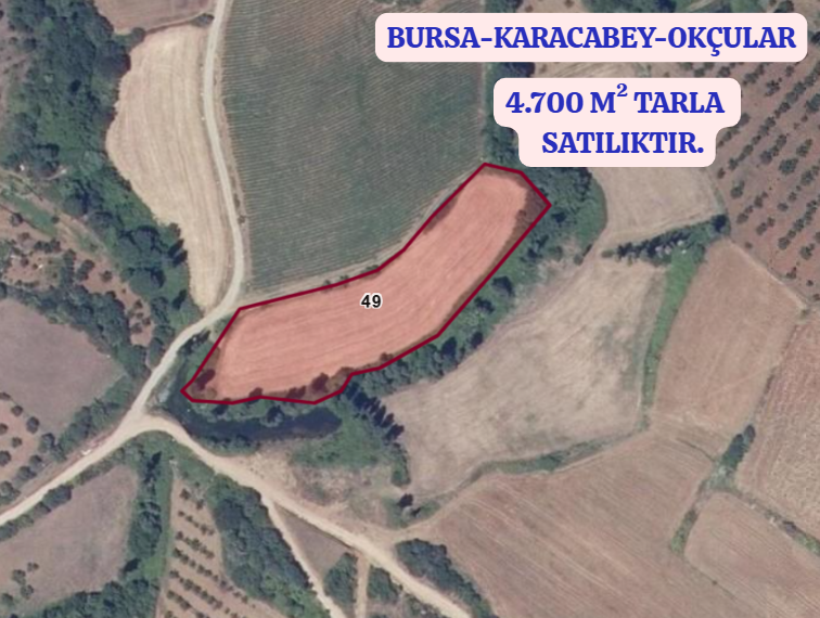 BURSA KARACABEY OKÇULAR KÖYÜNDE 4.700 M² TARLA SATILIKTIR - BURSA KARACABEY fotoğraf 2