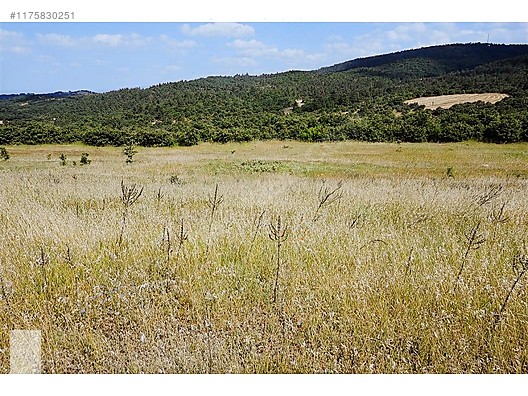 ÇANAKKALE BAYRAMİÇ MURATLAR KÖYÜ 45.000 m2 TARLA - ÇANAKKALE BAYRAMİÇ fotoğraf 30