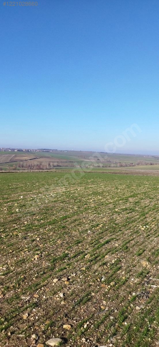 EDİRNE LALAPAŞA ORTAKÇI KÖYÜ'NDE  22.750 M² TARLAMIZ SATILIKTIR - EDİRNE LALAPAŞA fotoğraf 4
