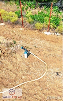 ŞAHİN BÜKE EMLAKTAN DENİZLİ ACIPAYAM AKALAN MAH .SATILIK 1.383 M2 BAHÇE - DENİZLİ ACIPAYAM fotoğraf 5