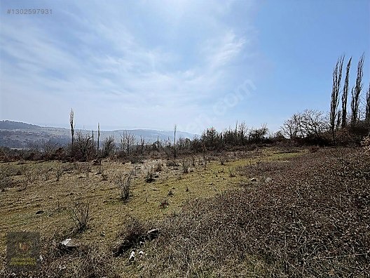 SAKARYA GEYVE DOĞANCIL'DA YOLA CEPHE 7.651 M2 UYGUN ARSA - SAKARYA GEYVE fotoğraf 16