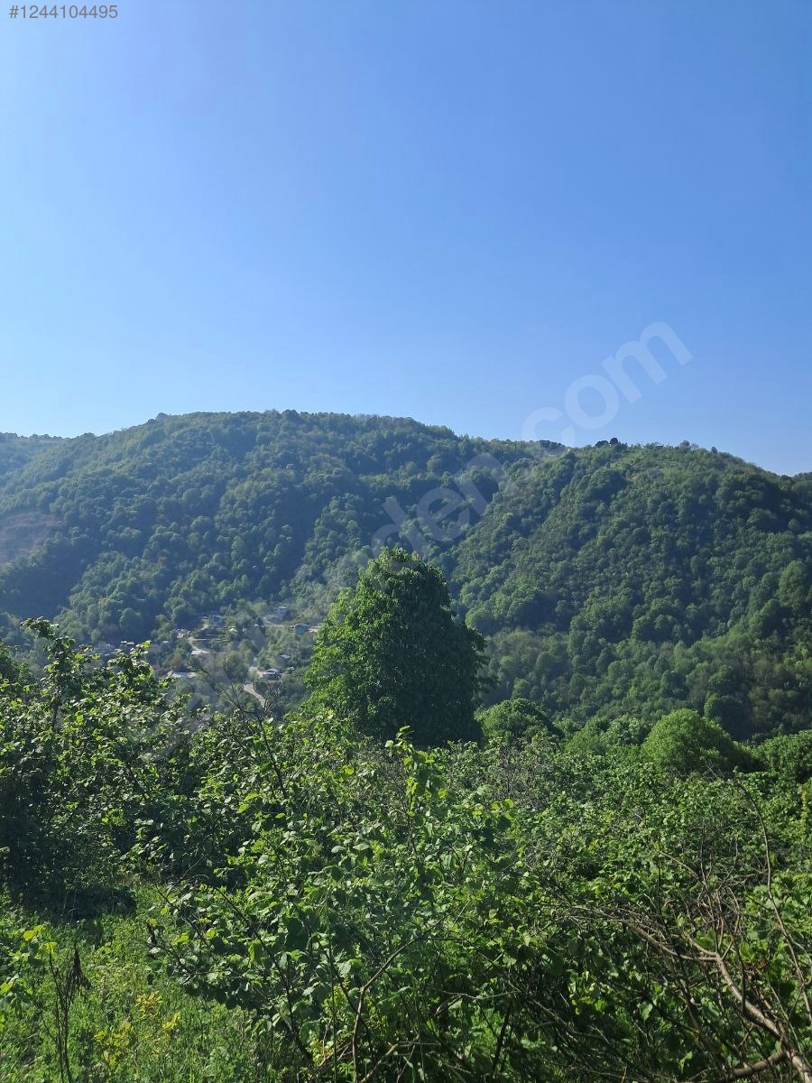 IHSANIYE DE DENIZ VE DOĞA MANZARALI - KOCAELİ GÖLCÜK fotoğraf 8