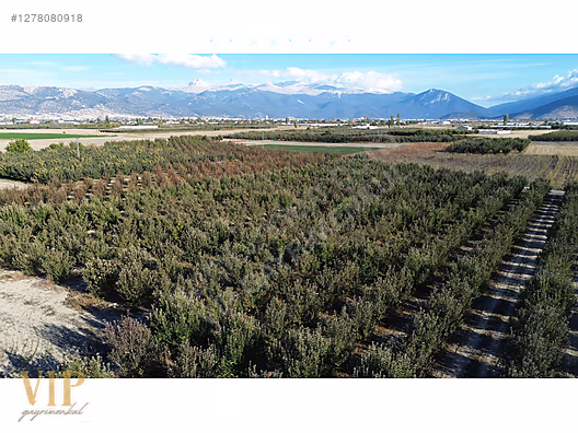 VİP GAYRİMENKUL'den BAYRALAR MAH. 29.648 m² ELMA-ARMUT BAHÇESİ - ANTALYA ELMALI fotoğraf 7