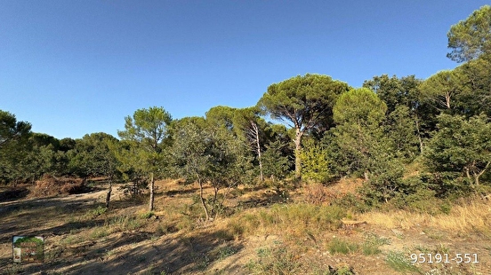 KOZAK YAYLASINDA KARAVELİLER MAH DE 3725 M2 MAH KENARI YAŞAM ALANI - İZMİR BERGAMA fotoğraf 8