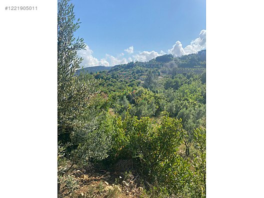 İmarlı İfrazlı Parsel 524 M² Hatay / Samandağ / Yaylıca Mh. - HATAY SAMANDAĞ fotoğraf 10