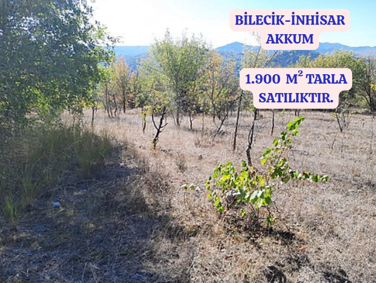 BİLECİK İNHİSAR AKKUM  KÖYÜNDE 1.900 M² TARLA  SATILIKTIR - BİLECİK İNHİSAR fotoğraf 2