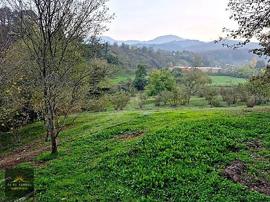SAKARYA-KARAPÜRÇEK-MESUDİYE MAHALLE MERKEZİNDE SATILIK TARLA - SAKARYA KARAPÜRÇEK fotoğraf 8