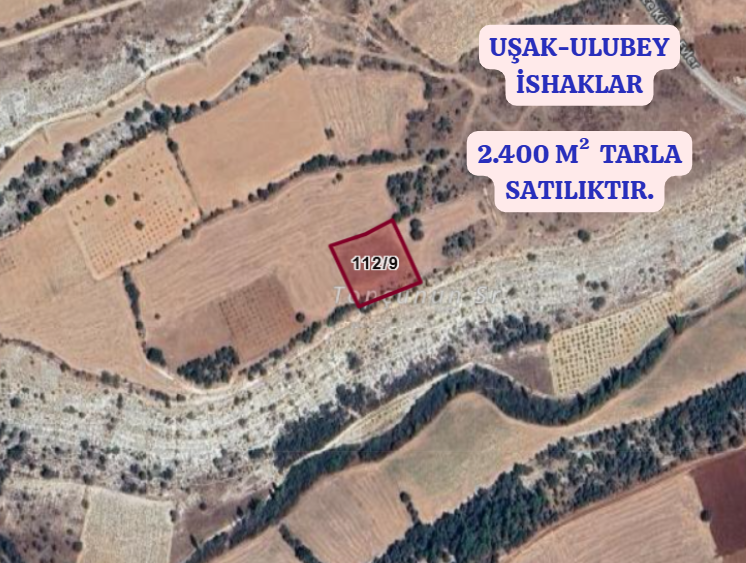 UŞAK ULUBEY İSHAKLAR  KÖYÜNDE 2.400  M² TARLA  SATILIKTIR - UŞAK ULUBEY fotoğraf 2