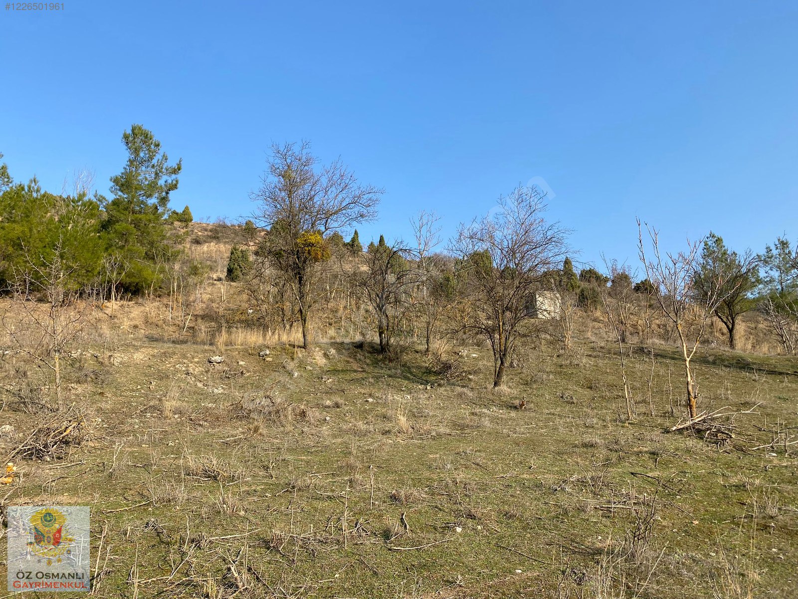 TELEFON FİYATINA ARAZİ VERİYORUZ, 409 M2,RESMİ YOLU VE SUYU VAR! - BİLECİK SÖĞÜT fotoğraf 18