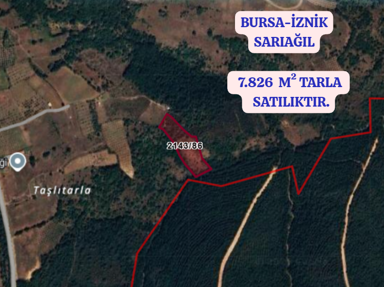 BURSA İZNİK SARIAĞIL KÖYÜNDE  7.826  M² TARLA SATILIKTIR. - BURSA İZNİK fotoğraf 2
