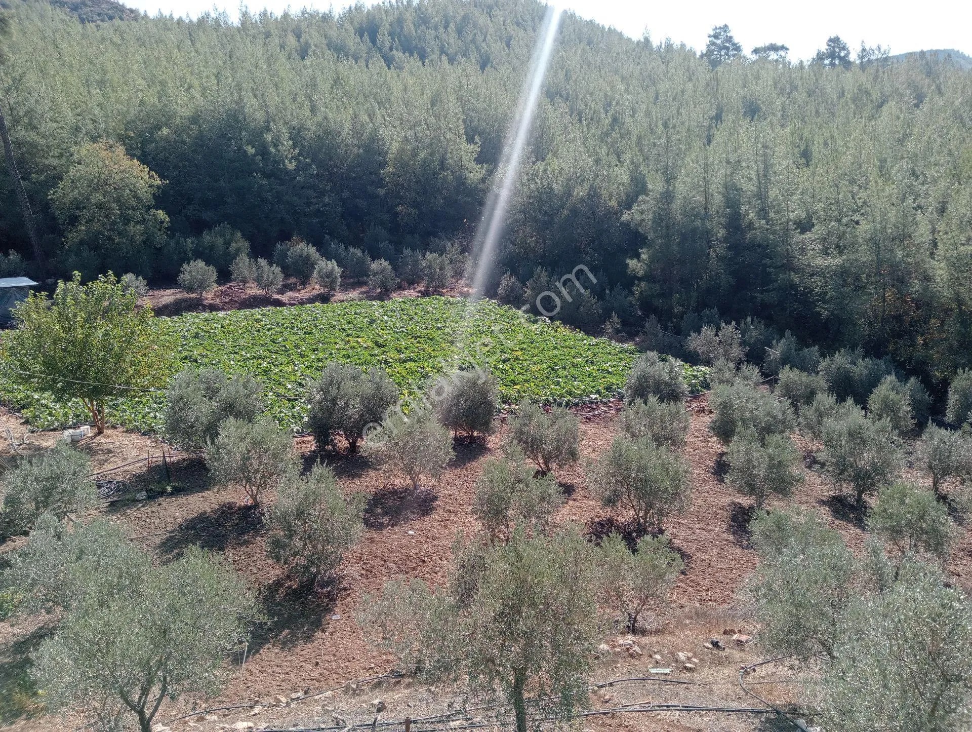 Antalya Kumlucada Satılık Müstakil Bahçe İnceoğlu Emlak - ANTALYA KUMLUCA fotoğraf 32