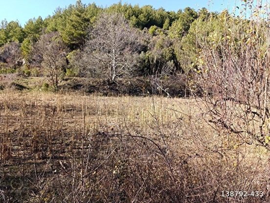 Fethiye Nif Mahallesi'nde 1.583 m² Tarla – Yatırımlık FIRSAT MÜSTAKİL TAPU  - MUĞLA FETHİYE fotoğraf 3