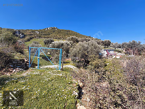 Kemalpaşa Soğukpınar İmar Gelişim Alanında Satılık 2,877m2 Bahçe - İZMİR KEMALPAŞA fotoğraf 4