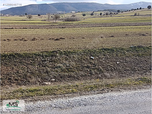 KÜTAHYA ALTINTAŞ PINARCIK KÖYÜ KELEPİR ARAZİ TARLA ARSA - KÜTAHYA ALTINTAŞ fotoğraf 11