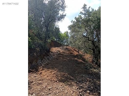 BURSA İZNİK GÖLLÜCE KÖYÜNDE 2.305 M GÖL MANZARALI  BUNGALOVLUK ARSA SATILIKTIR - BURSA İZNİK fotoğraf 7