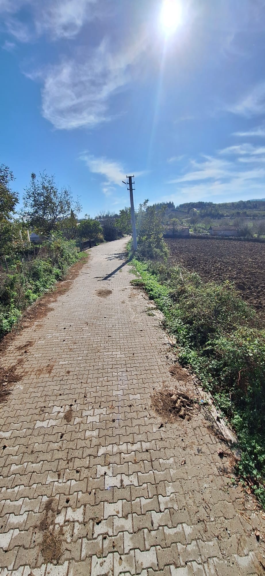 SAHİBINDEN FEVZİYEDE 52246M2 - YALOVA ALTINOVA fotoğraf 11