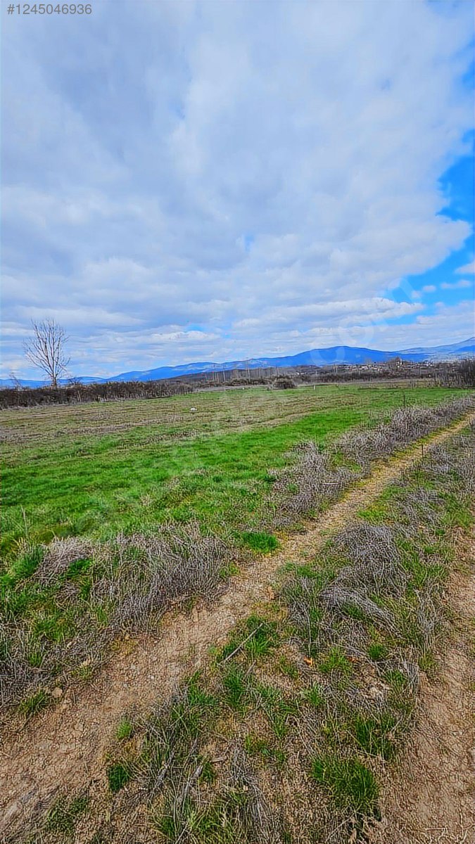 Karabey Köyü'nde Satılık 1800 M² Biber Tarlası - ÇANAKKALE YENİCE fotoğraf 6