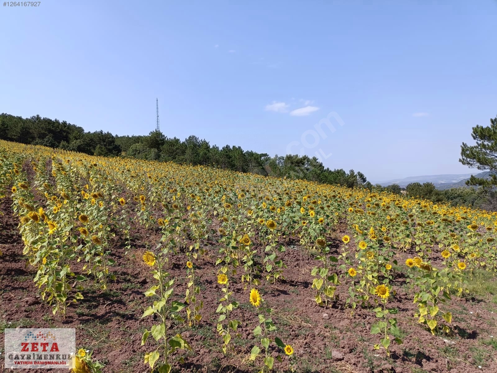 Bilecik Karaahmetler'de Yatırımlık 23.460 m² Satılık Tarla - BİLECİK GÖLPAZARI fotoğraf 10
