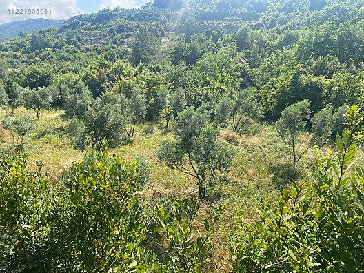 İmarlı İfrazlı Parsel 524 M² Hatay / Samandağ / Yaylıca Mh. - HATAY SAMANDAĞ fotoğraf 6