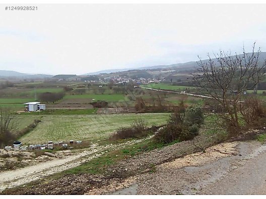 BURSA KARACABEY ÇAMLICA KÖYÜNDE 2.250  M² TARLA SATILIKTIR - BURSA KARACABEY fotoğraf 8