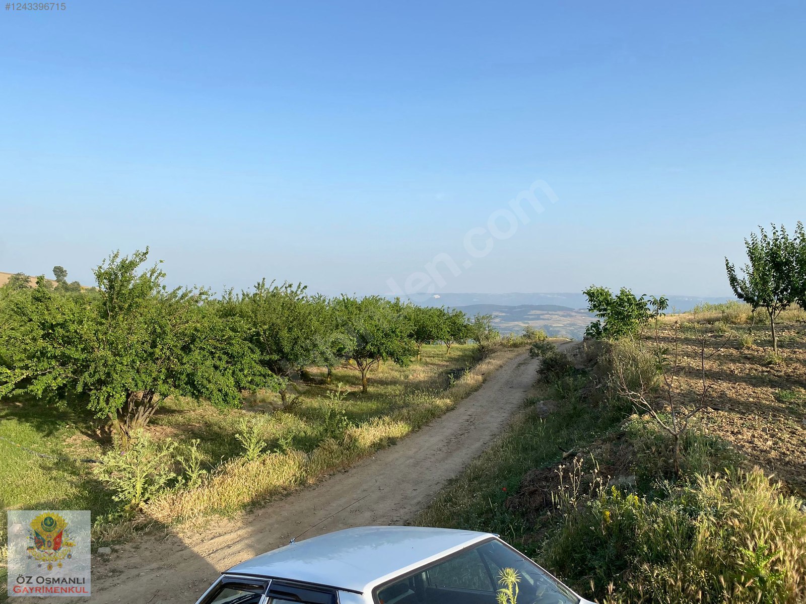 %40 İMARLI 2.5 DÖNÜM KÖY İÇİ ARAÇ TAKASLI ARSA ! - BİLECİK OSMANELİ fotoğraf 3