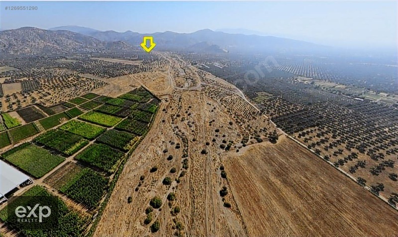 Bayındır Tarıma Dayalı Çİçek OSB Yakını 5265 mSatılık Zeytinlik - İZMİR BAYINDIR fotoğraf 5