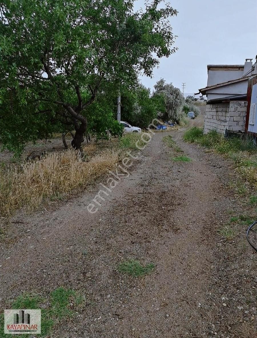 Erkilet Kemerde Görülü Üzüm Bağı - KAYSERİ KOCASİNAN fotoğraf 5