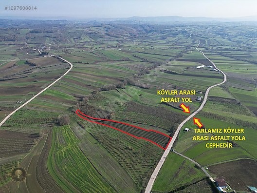 KANDIRA ŞEREFSUNGUR'DA 5621m2 ASFALT CEPHE HARİKA ÇİFTLİK YERİ - KOCAELİ KANDIRA fotoğraf 6