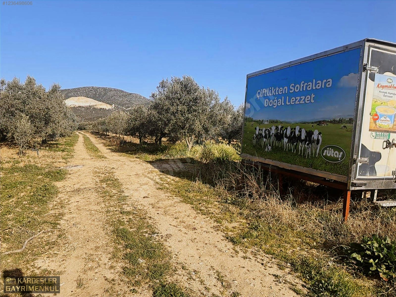 SATILIK GÖLMARMARA SALİHLİ YOLU ÜZERİNDE ASFALT ÜSTÜ ZEYTİNLİK - MANİSA AKHİSAR fotoğraf 23
