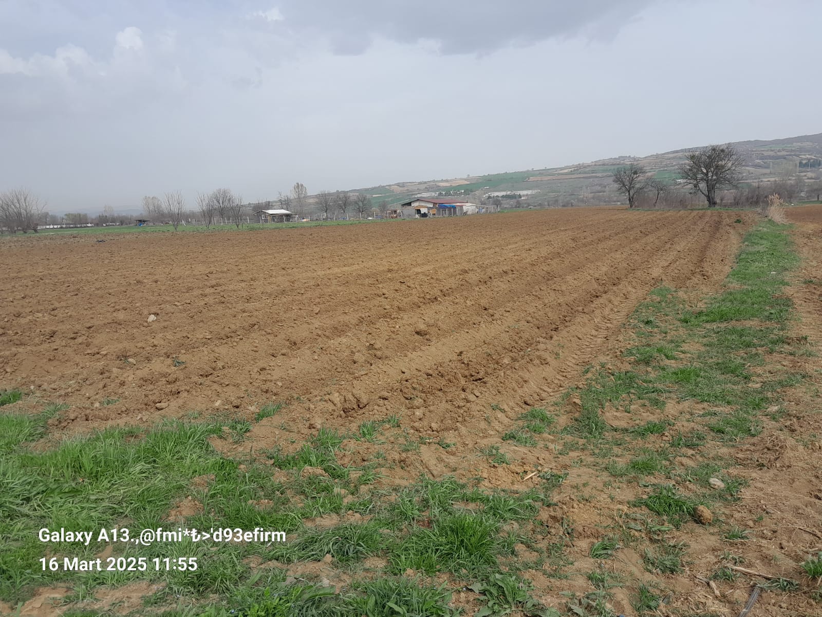 BURSA İNEGÖL HASANPAŞA SATILIK TARLA 9100m² - BURSA İNEGÖL fotoğraf 3