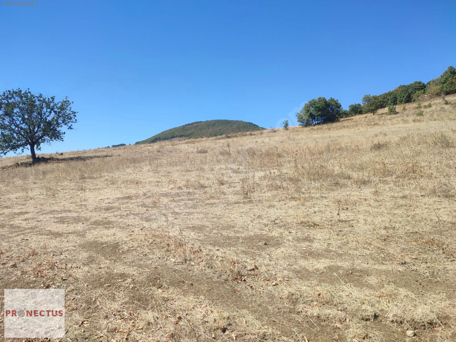 FULACIK MAH. RESMİ YOLA CEPHE GÖL MANZARALI 4985 M2 SATILIK ARSA - KOCAELİ KARAMÜRSEL fotoğraf 3