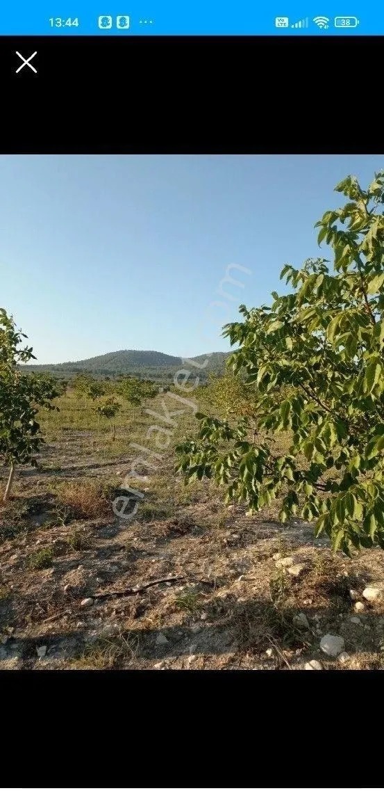 Yeliz'den Geniş Arazi - MANİSA SOMA fotoğraf 8