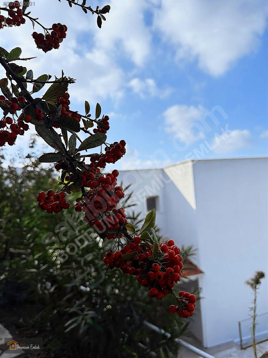 BODRUM YALIKAVAK'TA MUHTEŞEM MANZARALI MÜSTAKİL VİLLA - MUĞLA BODRUM fotoğraf 17